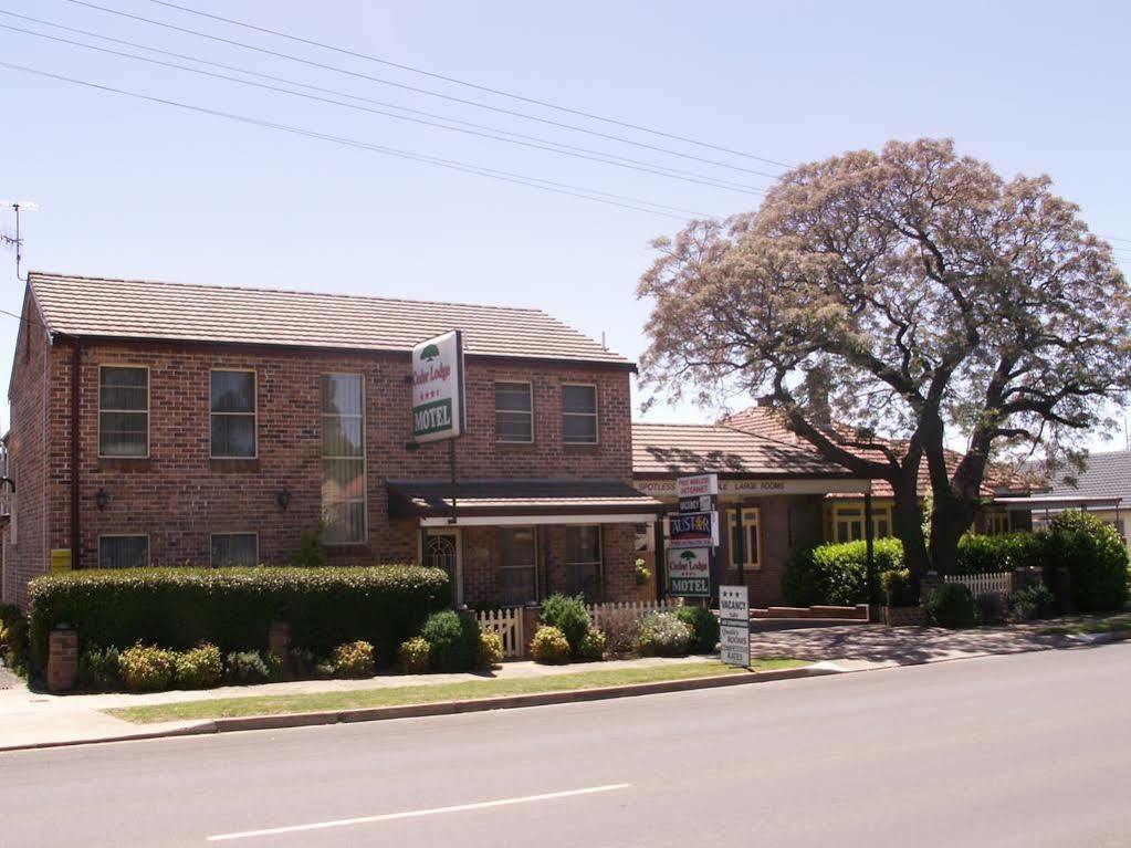 Cedar Lodge Motel Armidale Dış mekan fotoğraf